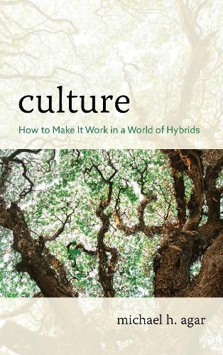 Cover image for Culture: How to Make It Work in a World of Hybrids