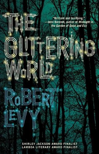 Cover image for The Glittering World: A Book Club Recommendation!