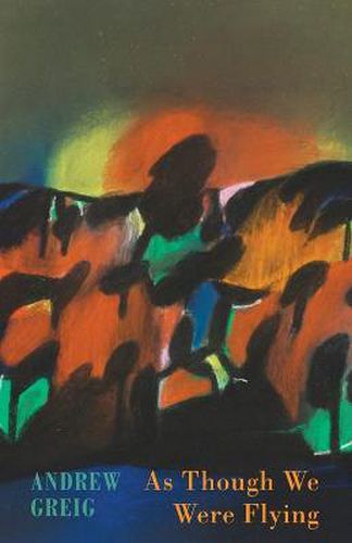 Cover image for As Though We Were Flying