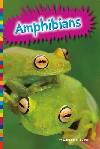 Cover image for Amphibians