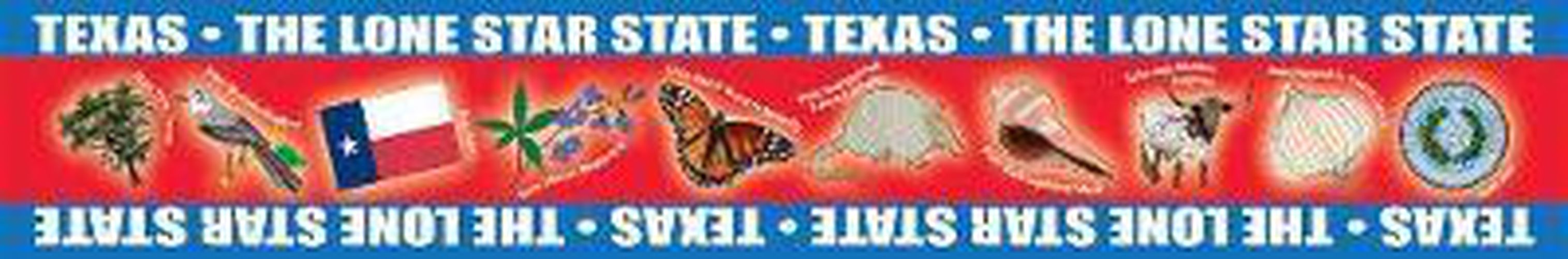 Cover image for Texas Borders for Bulletin Boards