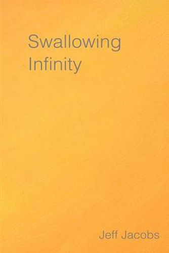 Cover image for Swallowing Infinity