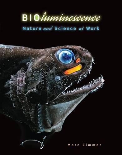 Cover image for Bioluminescence: Nature and Science at Work