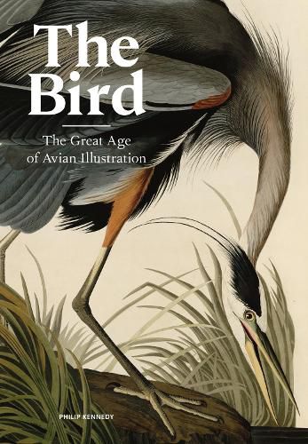 Cover image for The Bird: The Great Age of Avian Illustration