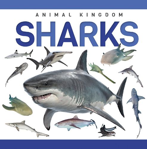 Cover image for Sharks