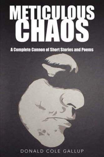 Cover image for Meticulous Chaos