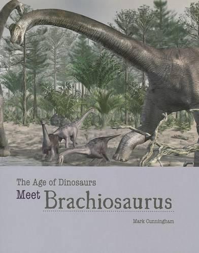 Cover image for Meet Brachiosaurus