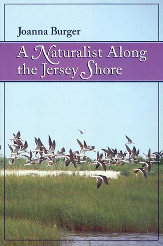 Cover image for A Naturalist along the Jersey Shore
