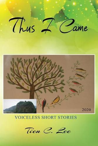 Cover image for Thus I Came: Voiceless Short Stories
