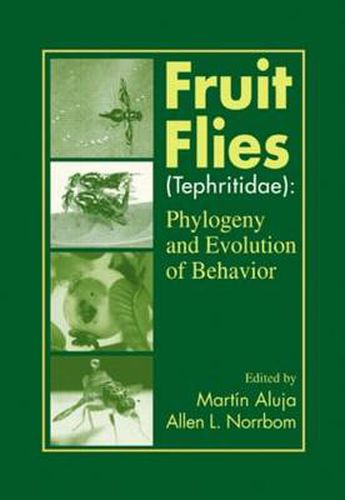Cover image for Fruit Flies (Tephritidae): Phylogeny and Evolution of Behavior