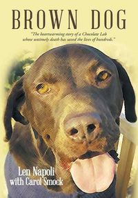 Cover image for Brown Dog