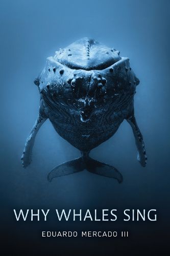 Cover image for Why Whales Sing