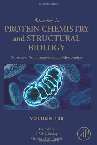 Cover image for Senescence, Senotherapeutics and Mitochondria: Volume 136