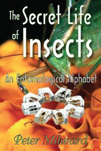 Cover image for The Secret Life of Insects: An Entomological Alphabet