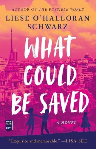 Cover image for What Could Be Saved