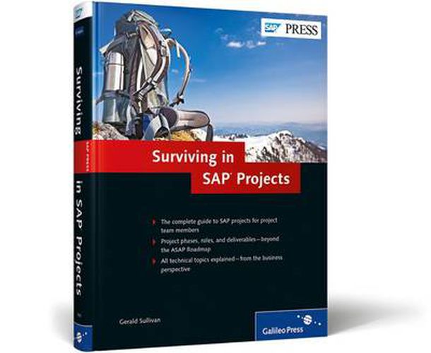 Cover image for The SAP Project: More Than a Survival Guide