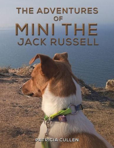 Cover image for The Adventures of Mini the Jack Russell