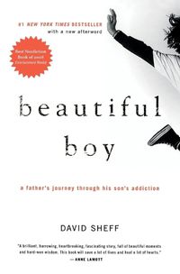 Cover image for Beautiful Boy: A Father's Journey Through His Son's Addiction