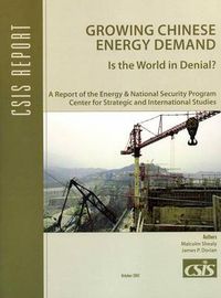 Cover image for Growing Chinese Energy Demand: Is the World in Denial?