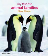 Cover image for My Favourite Animal Families