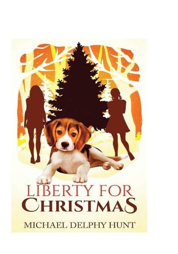 Cover image for Liberty For Christmas