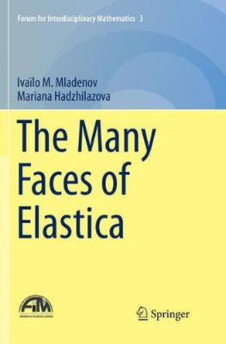 Cover image for The Many Faces of Elastica