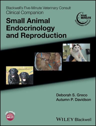 Blackwell's Five-Minute Veterinary Consult Clinical Companion - Small Animal Endocrinology and Reproduction