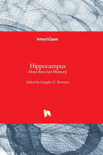 Hippocampus