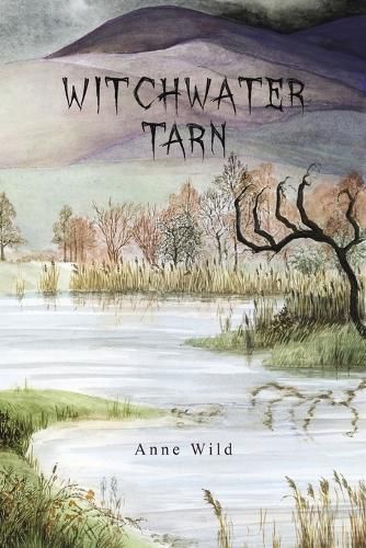 Cover image for Witchwater Tarn