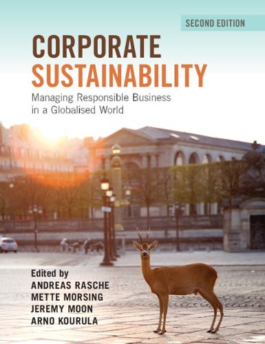 Cover image for Corporate Sustainability: Managing Responsible Business in a Globalised World