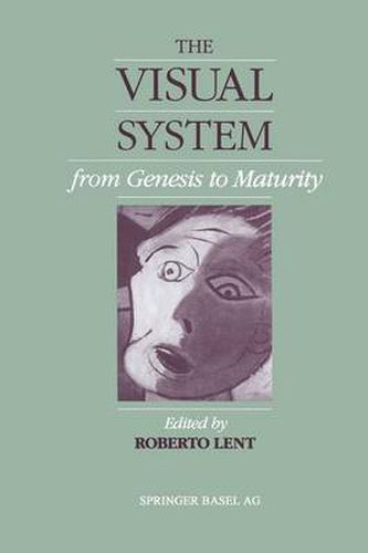 Cover image for The Visual System from Genesis to Maturity