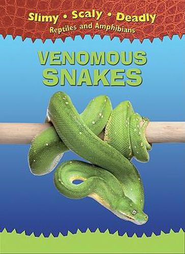 Cover image for Venomous Snakes