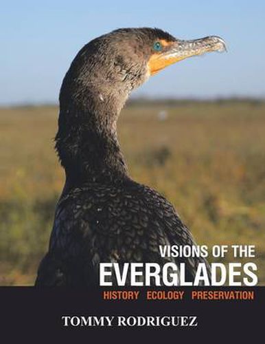 Cover image for Visions of the Everglades
