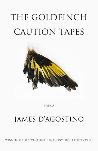 Cover image for The Goldfinch Caution Tapes