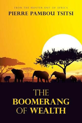 Cover image for The Boomerang of Wealth