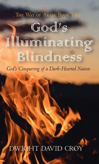 Cover image for God's Illuminating Blindness