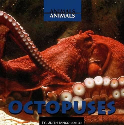 Octopuses