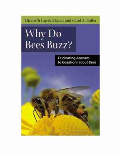 Why do Bees Buzz?: Fascinating Answers to Questions About Bees