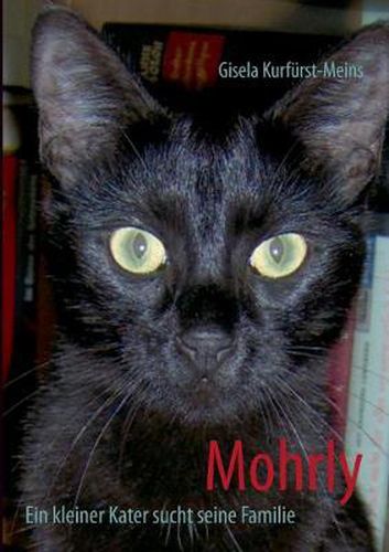 Mohrly: Ein kleiner Kater sucht seine Familie