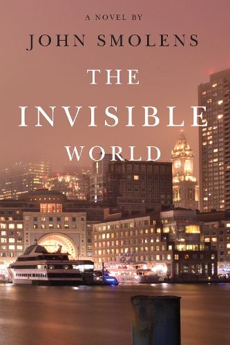 Cover image for The Invisible World