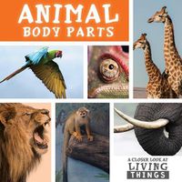 Cover image for Animal Body Parts