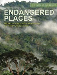 Cover image for Endangered Places