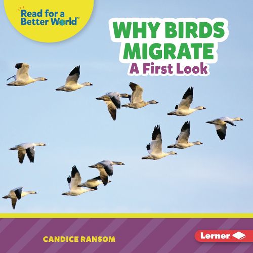 Cover image for Why Birds Migrate