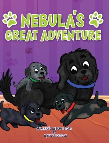 Cover image for Nebula's Great Adventure