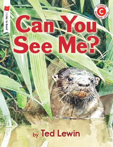 Cover image for Can You See Me?