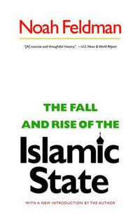 Cover image for The Fall and Rise of the Islamic State