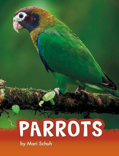 Cover image for Parrots