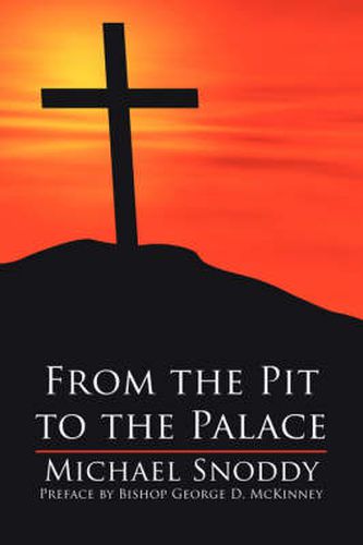 Cover image for From the Pit to the Palace