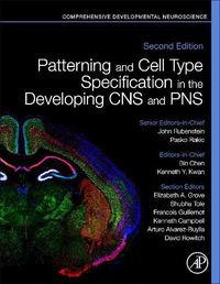 Cover image for Patterning and Cell Type Specification in the Developing CNS and PNS: Comprehensive Developmental Neuroscience