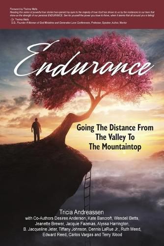 Cover image for Endurance: Going The Distance From The Valley To The Mountaintop